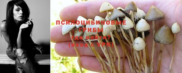 прущая мука Белоозёрский
